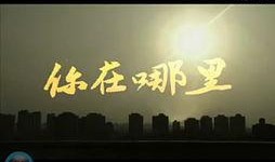 最新网络八卦爆料新闻视频,最新八卦新闻视频揭秘，真相令人震惊！