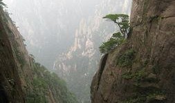 安徽黄山最新爆料事件,神秘事件引发热议